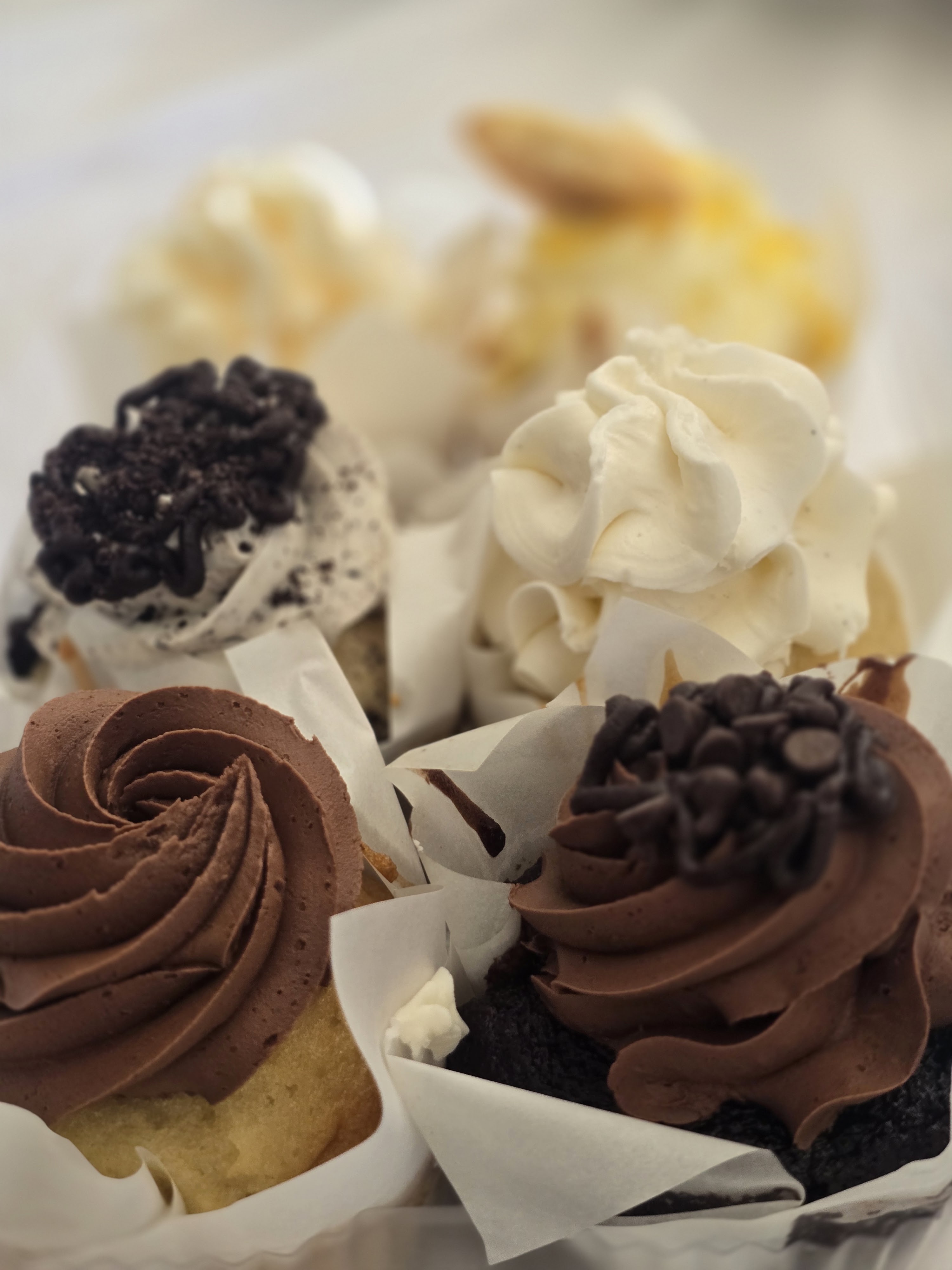 AVL Cake Lady in Asheville, NC (5)