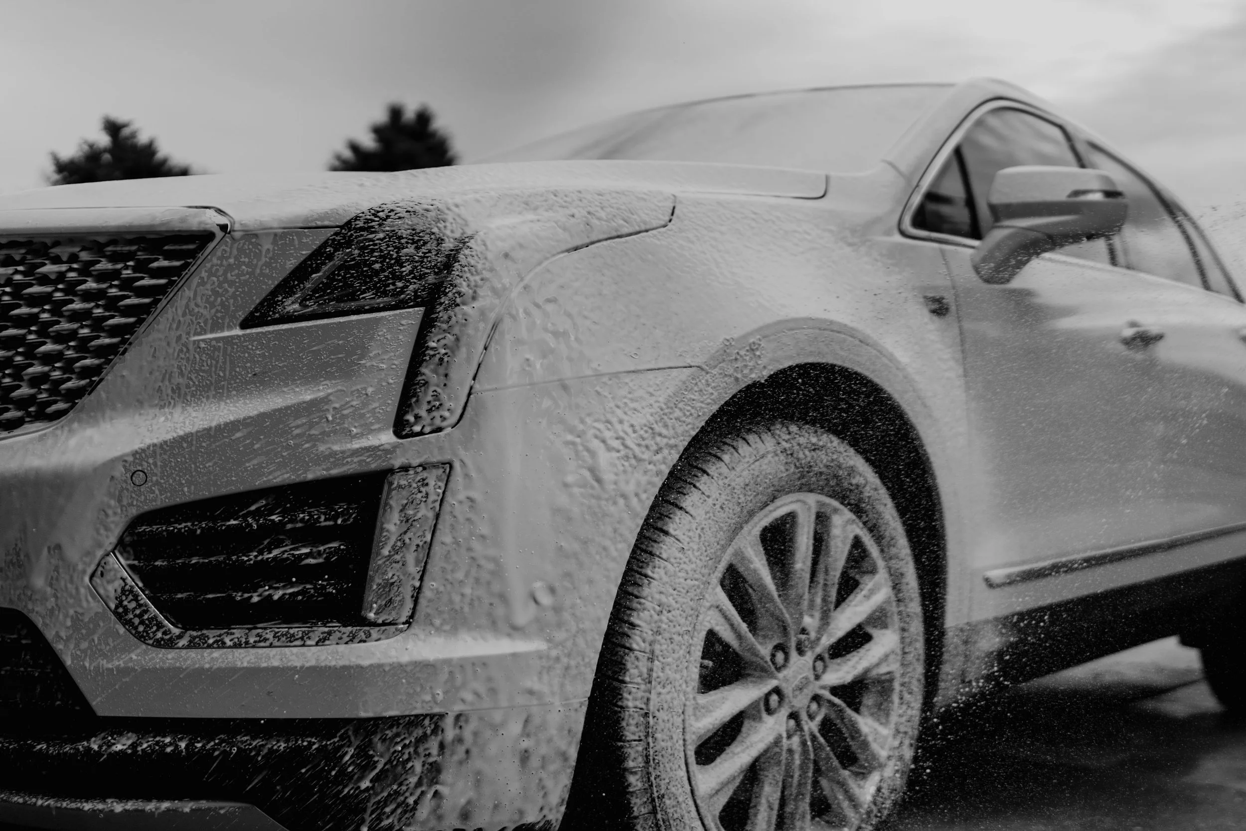 Detail Oriented Auto Detailing, LLC in Waterville, OH (2)