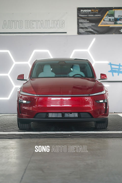 Song Auto Detail LLC in Santa Clara, CA (3)