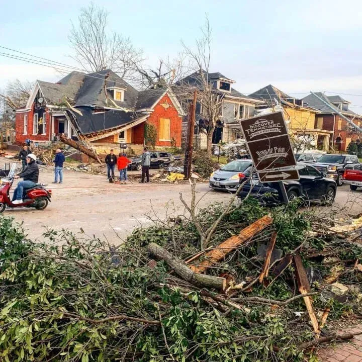 H.E. Tree & Debris Management Team in Coldspring, TX (5)