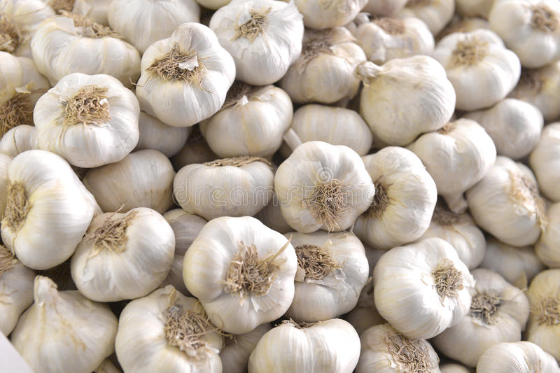 Garlic Shoppe in Gilroy, CA (5)