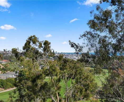 Sandy & Rich Marquez, REALTOR | REMAX Coastal Homes in San Clemente, CA (3)