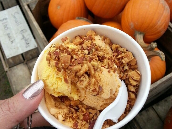 Country Maid Ice Cream in Richfield, OH (5)