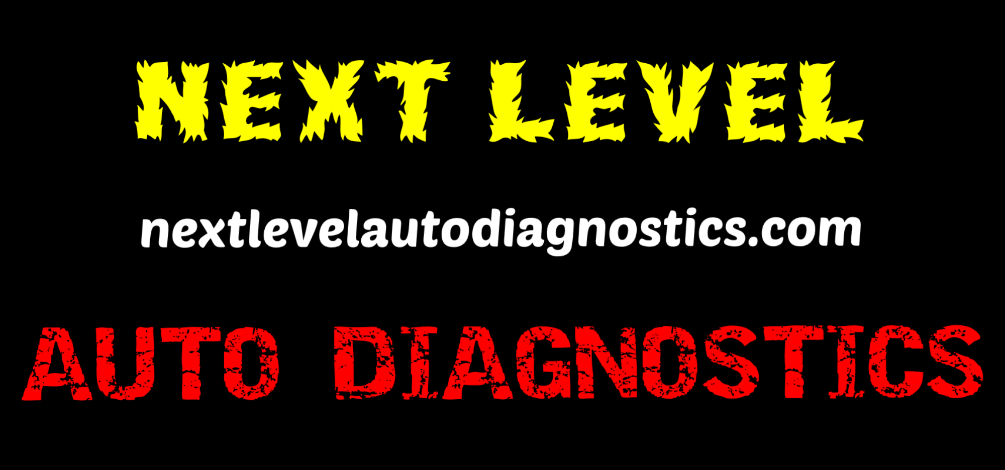 Next Level Auto Diagnostics LLC in Great Neck, NY (3)