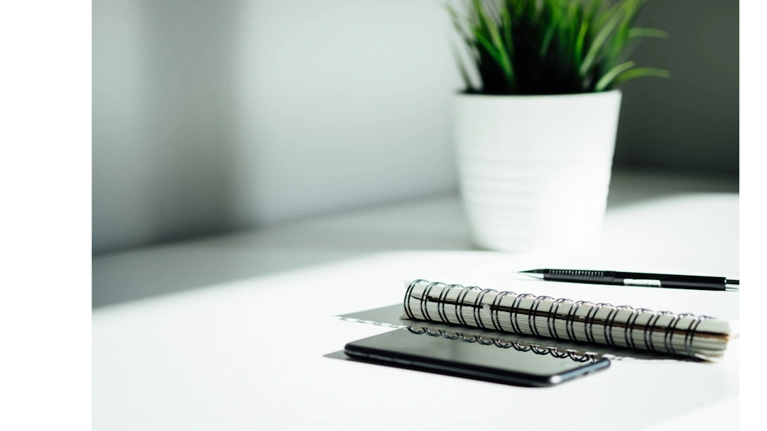 BossLady Bookkeeping in Oakdale, CA