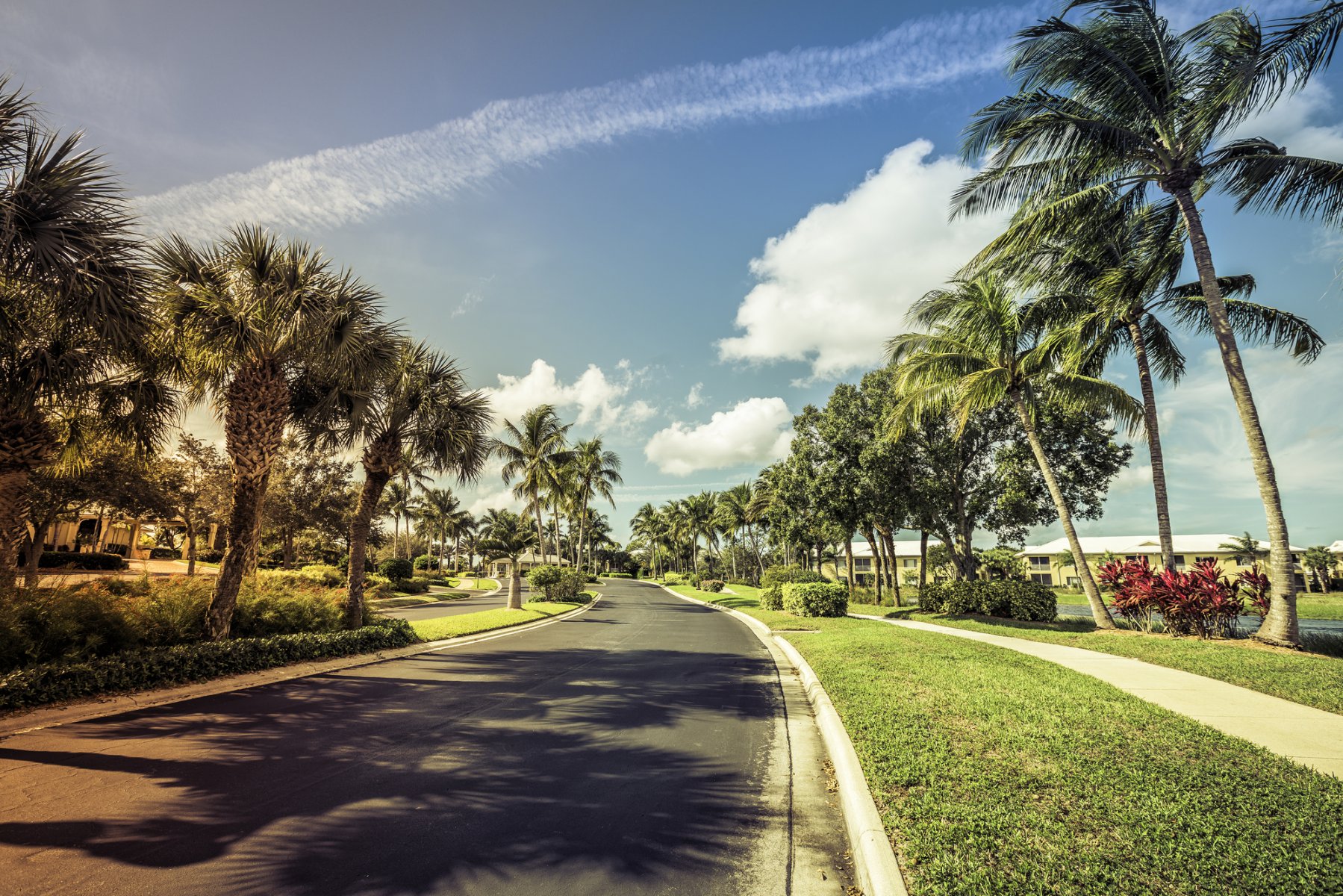 Buy My Home Florida in Mt Dora, FL