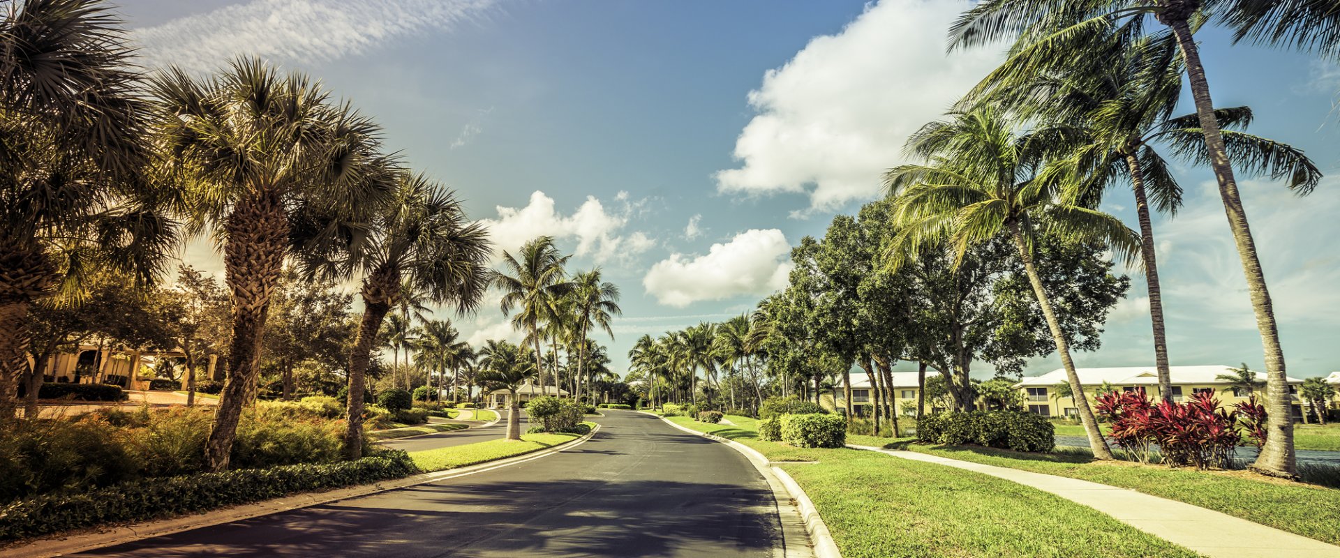 Buy My Home Florida in Mt Dora, FL (2)