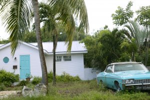 Buy My Home Florida in Mt Dora, FL (5)