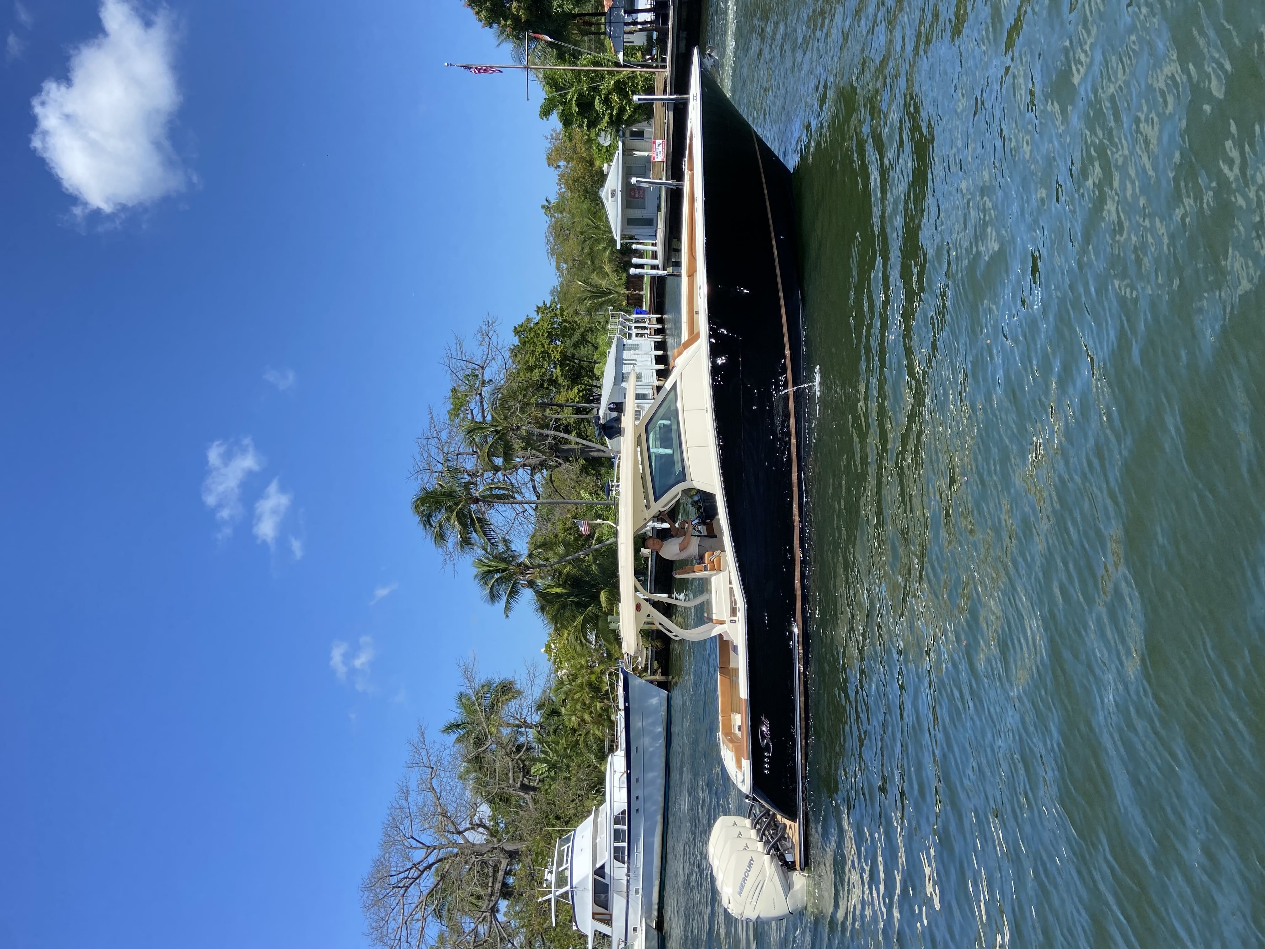 Hands on Detailing in Miami, FL (2)
