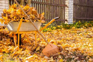 One Solution Excavating & Junk Removal Services in Lanham, MD