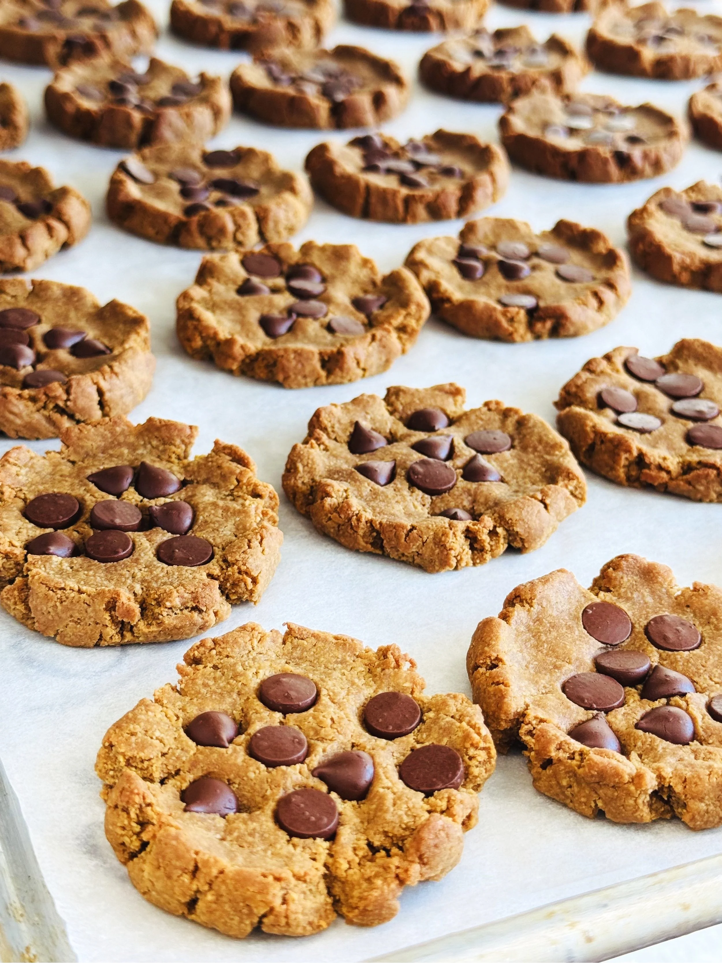 Choc'late Mama Cookie Co. in Emeryville, CA (3)