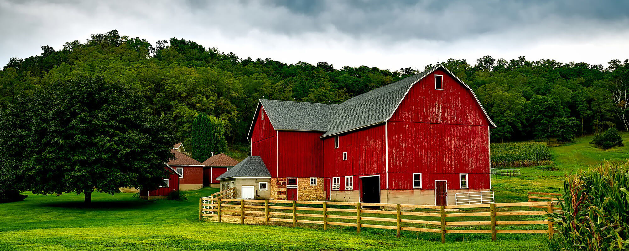 National Forest Realty in Tionesta, PA (3)