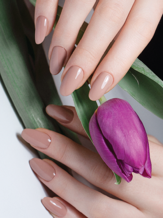 Purity Organic Nails & Spa in Falls Church, VA (3)