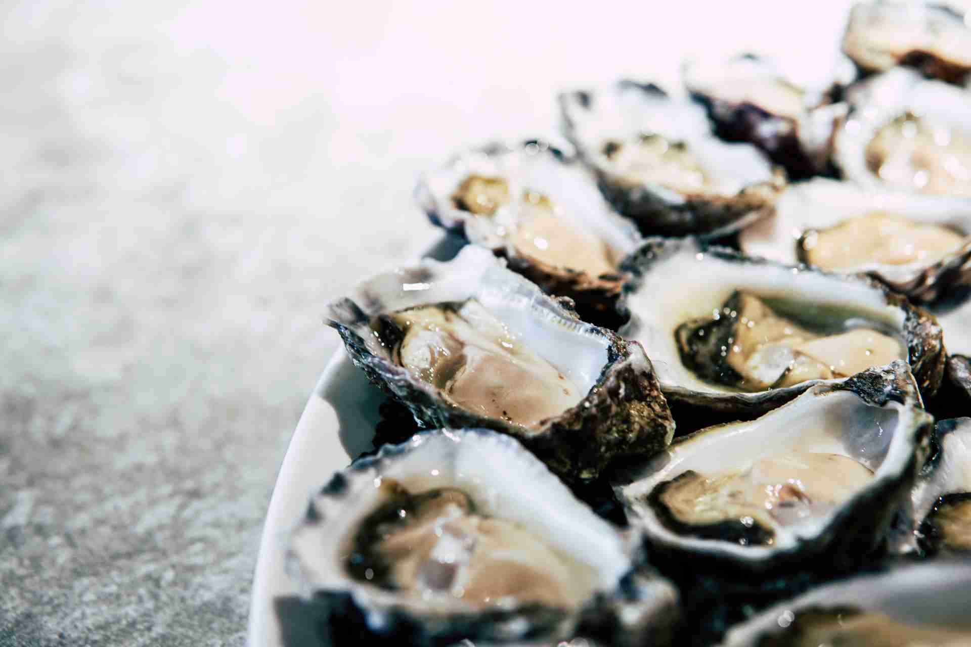 Bunky's Raw Bar & Grill in Indialantic, FL (4)