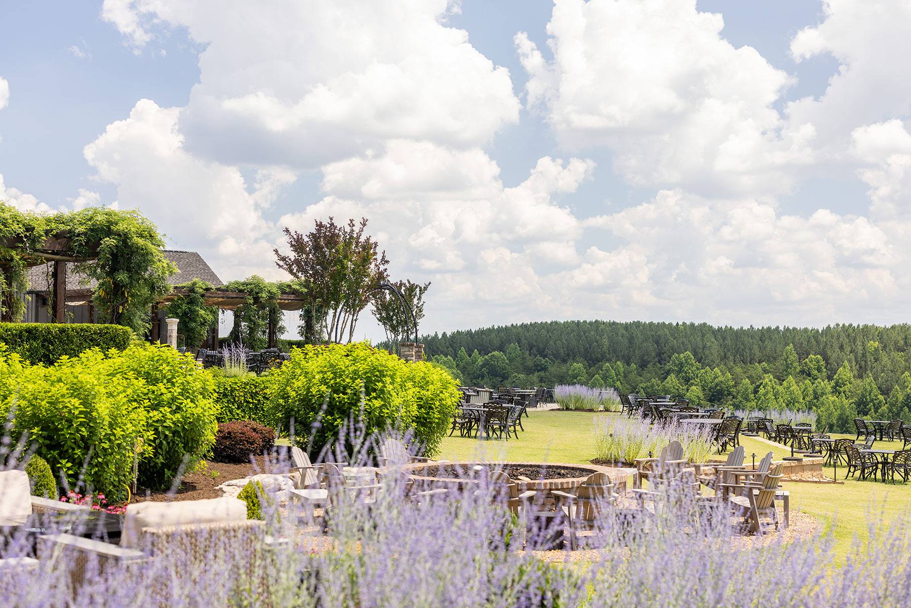 Mountain Brook Vineyards in Tryon, NC