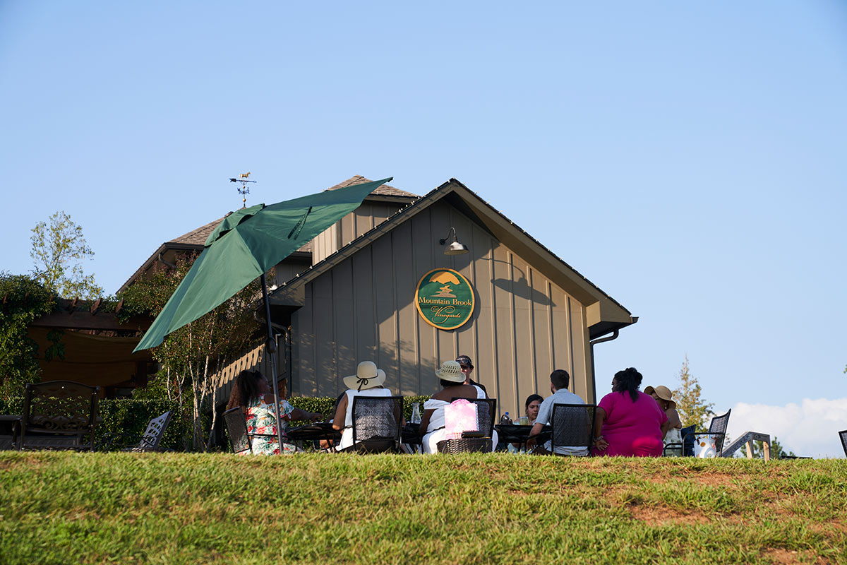 Mountain Brook Vineyards in Tryon, NC (3)