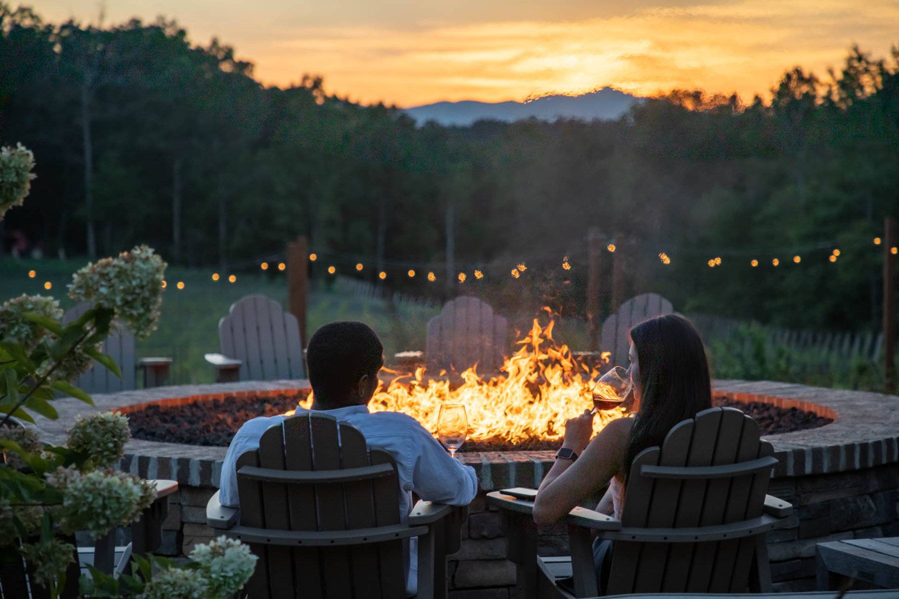 Mountain Brook Vineyards in Tryon, NC (4)