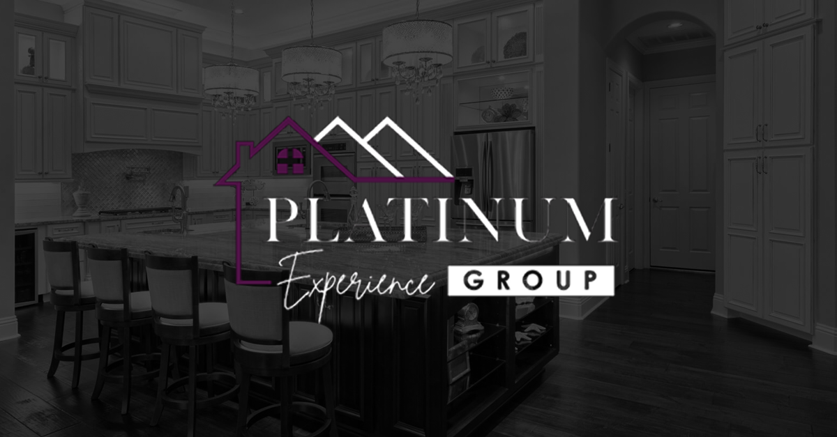 Venessa James - Platinum Experience Group of KW Professionals - Real Estate Agent in Spring, TX in Spring, TX (2)