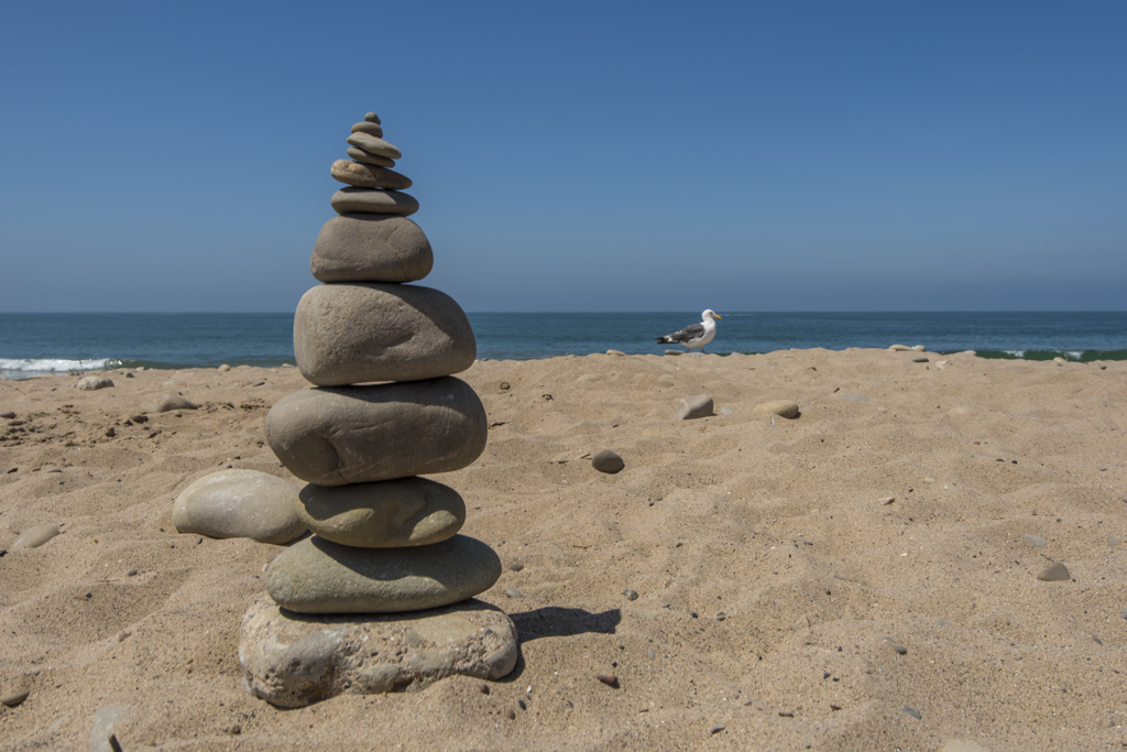 San Buenaventura State Beach in Ventura, CA (4)