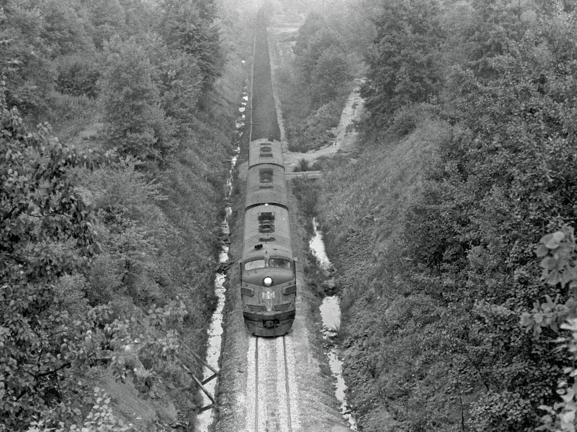 Potomac Eagle Scenic Railroad in Romney, WV