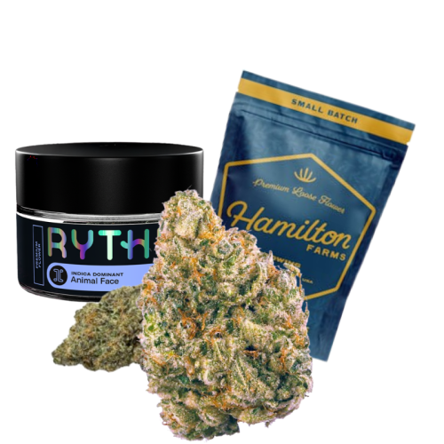 Plant Base Dispensary in Plainfield, NJ (5)