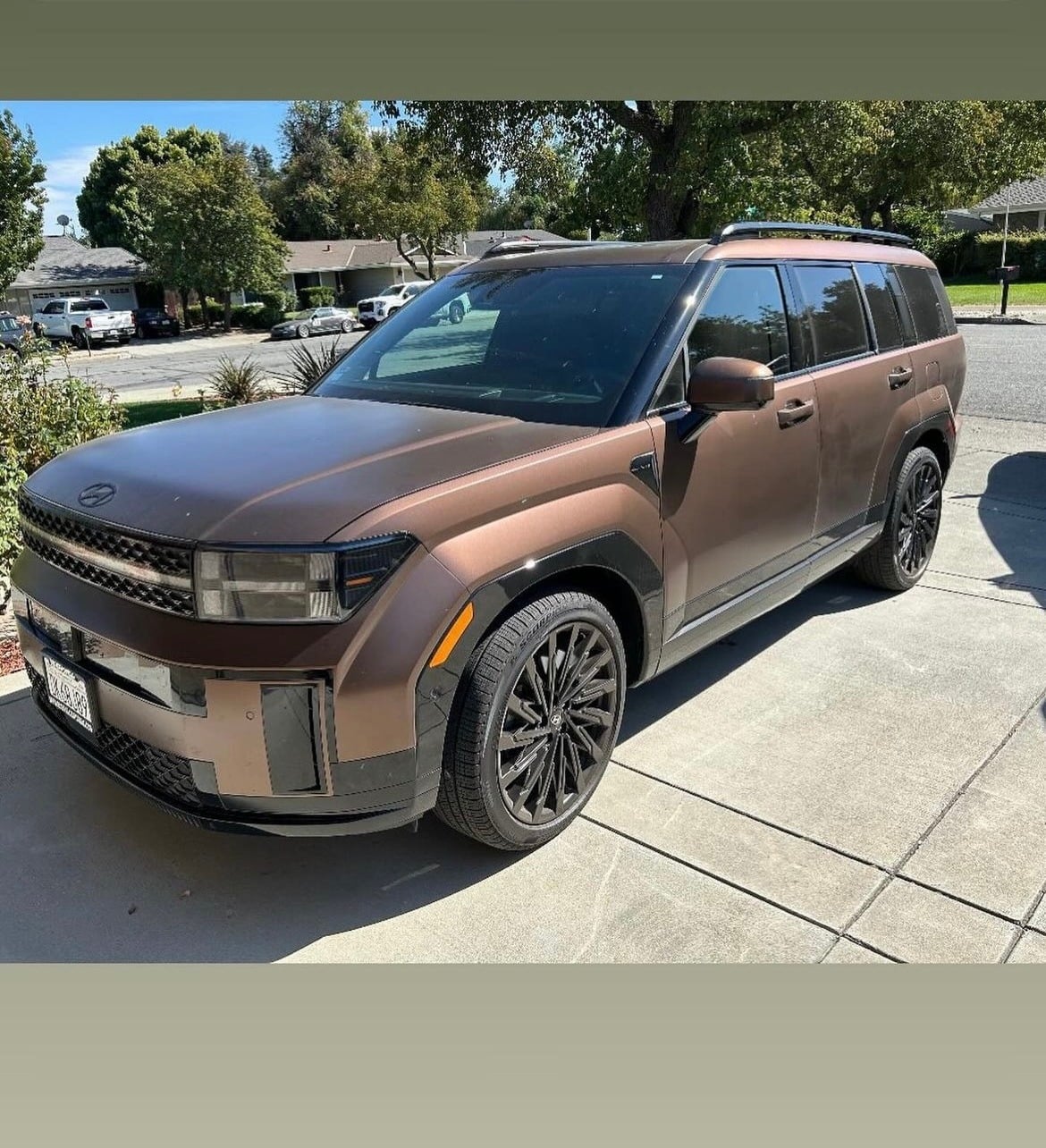 Javis_mobiledetail in New Almaden, CA (4)