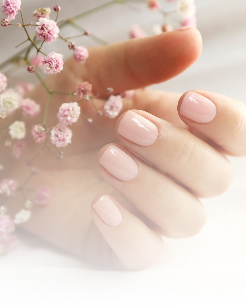 Blossom Studio in Garden Grove, CA