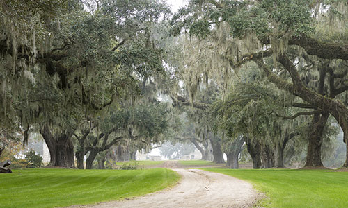 All Realty Services Monticello, FL in Monticello, FL (2)