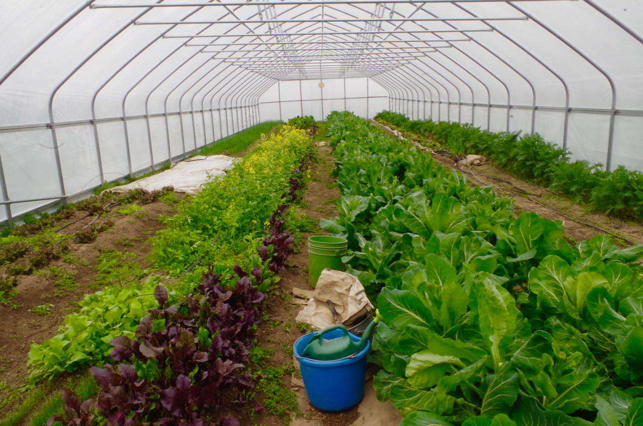 Boulder Belt Eco-Farm in Eaton, OH