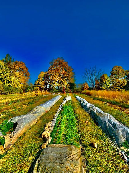 Boulder Belt Eco-Farm in Eaton, OH (2)