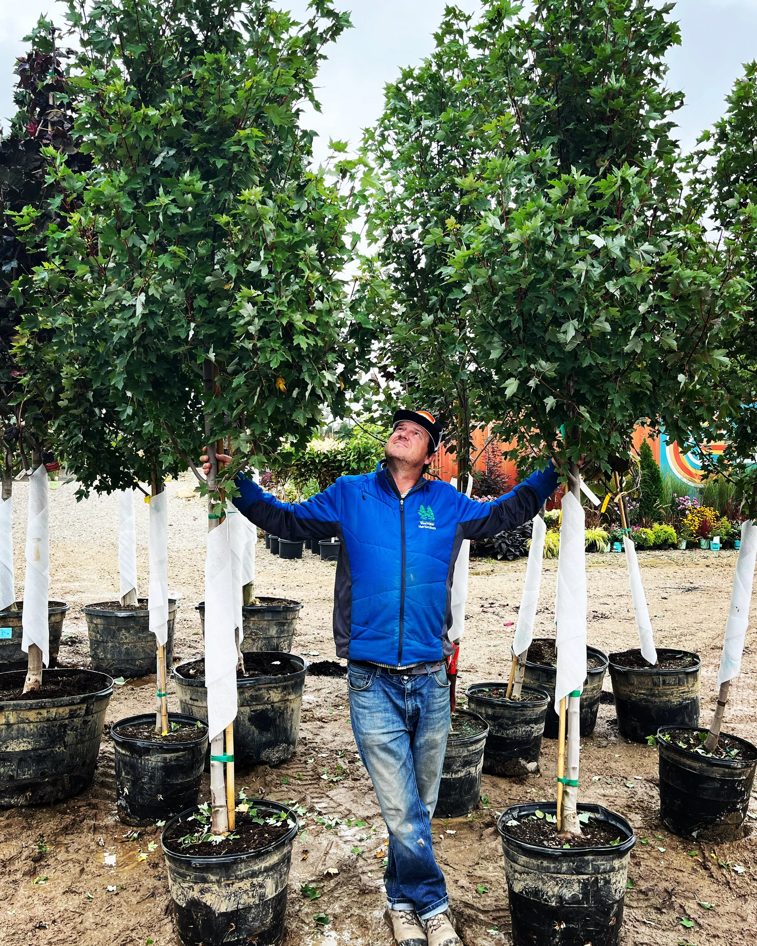 Good Times Horticulture Company in Fremont, IN