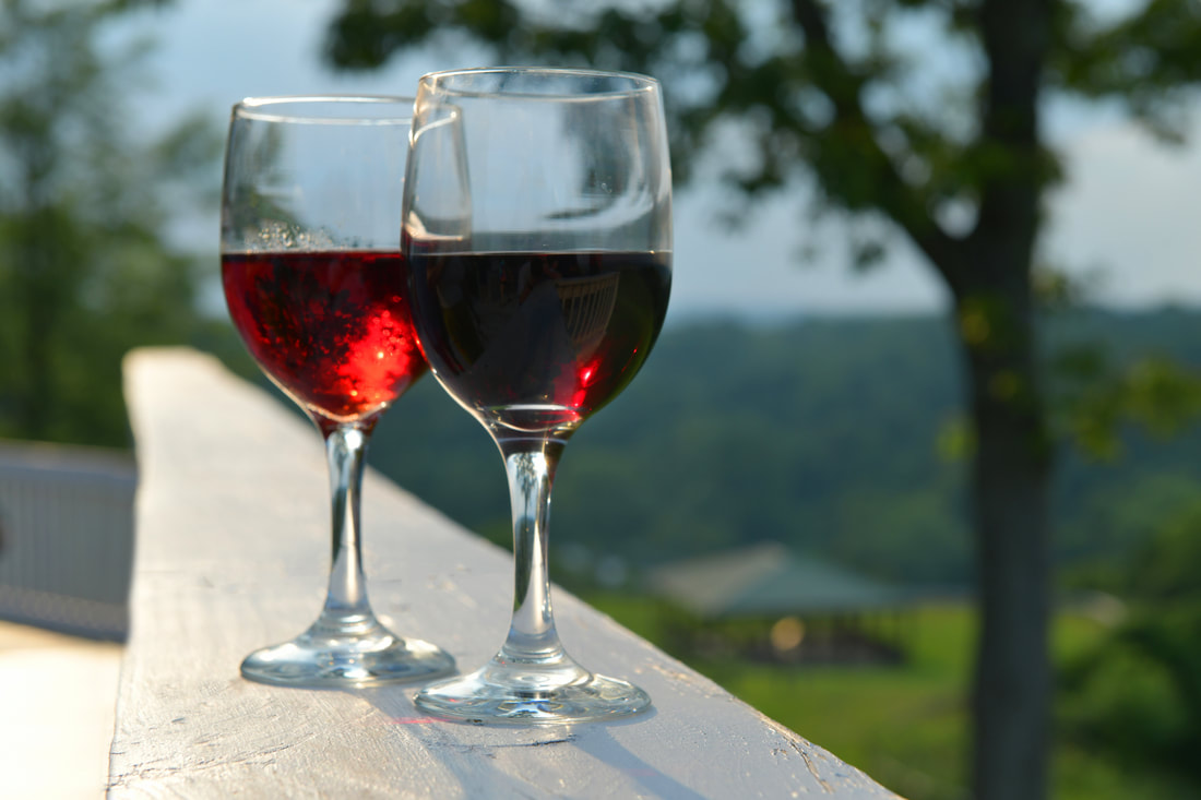 Georgetown Vineyards & Tavern in Cambridge, OH (4)