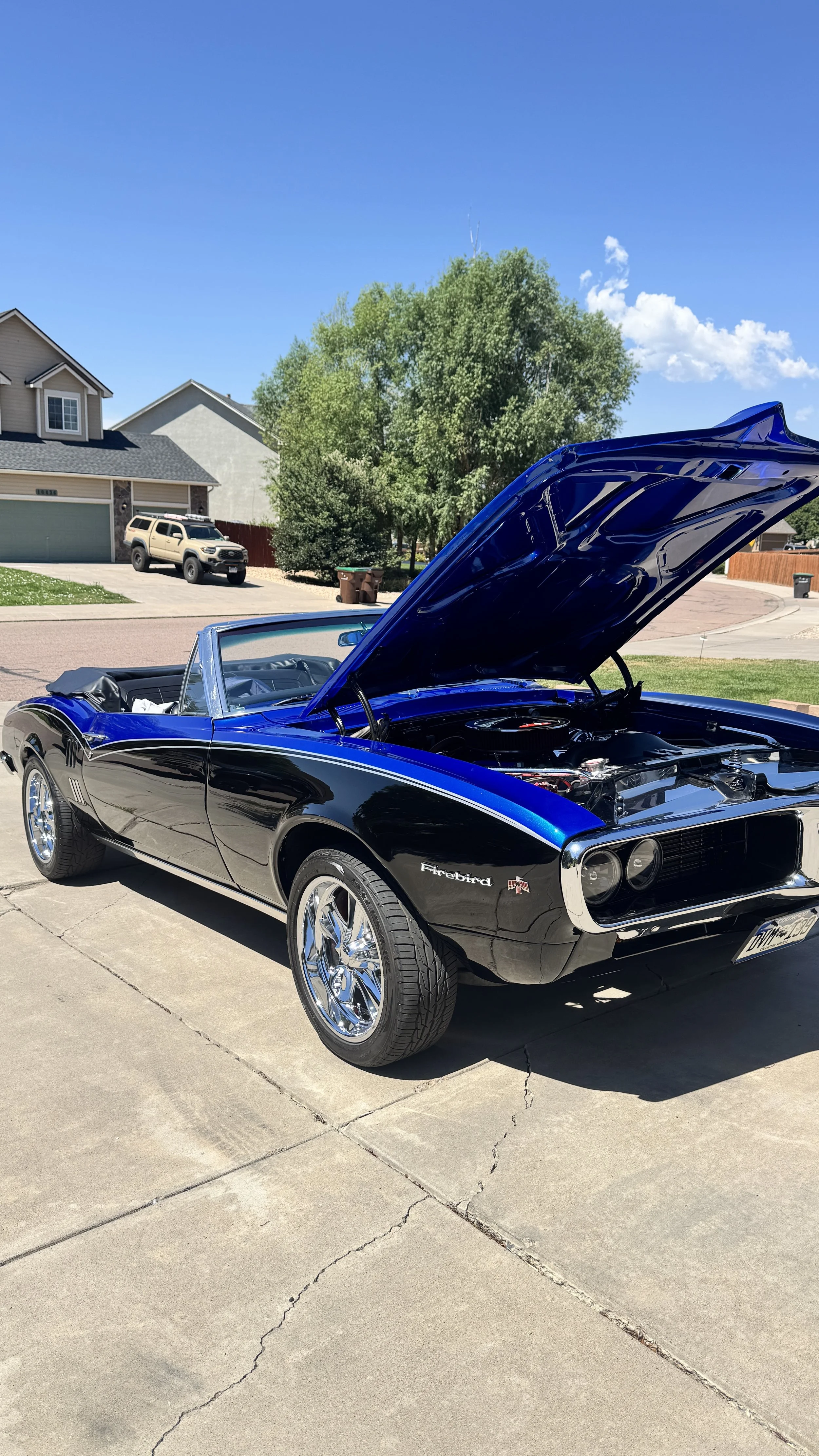 Vinny T's Mobile Detailing in Citrus Heights, CA