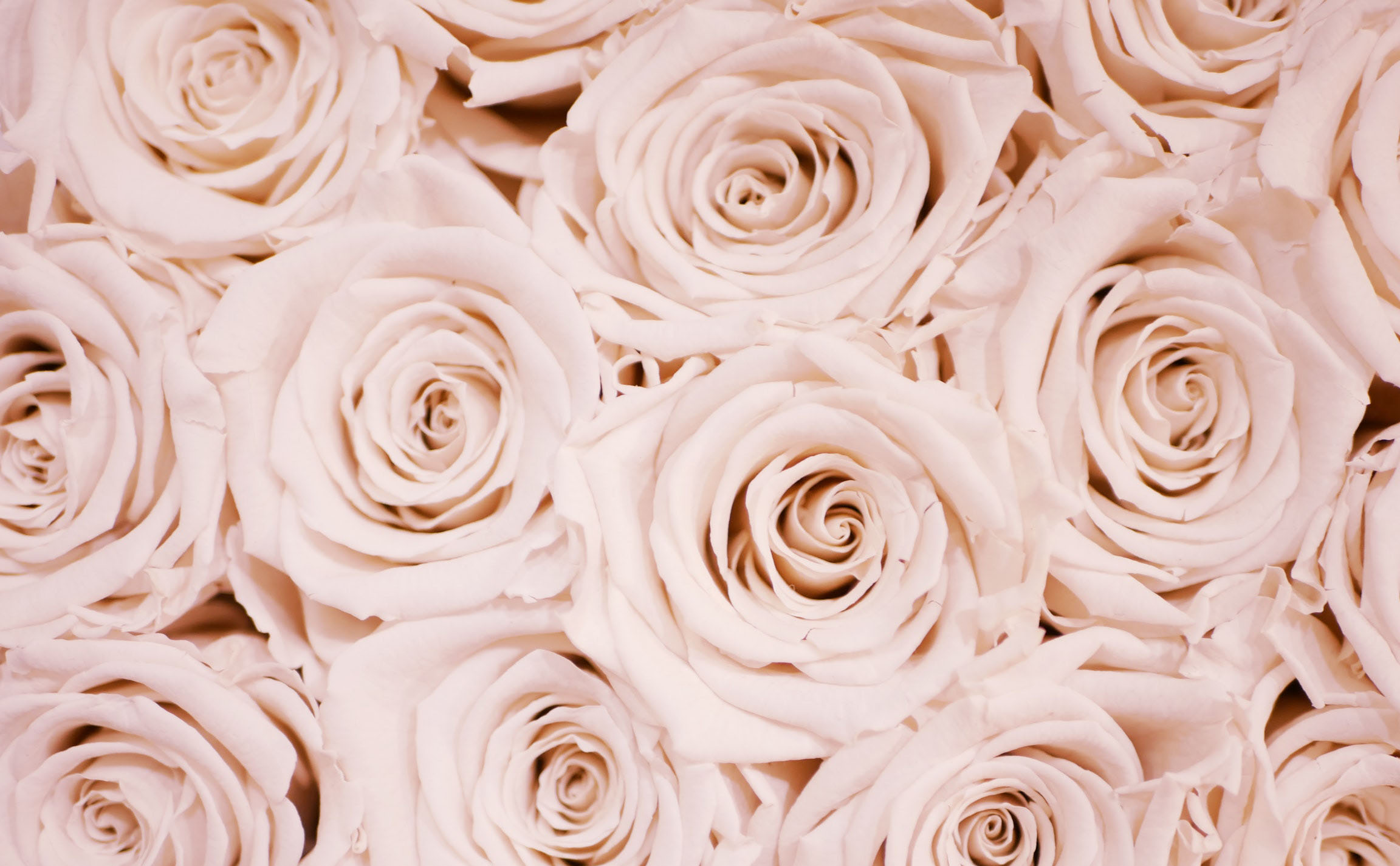 Rose Couture Nail Bar - Prosper in Prosper, TX