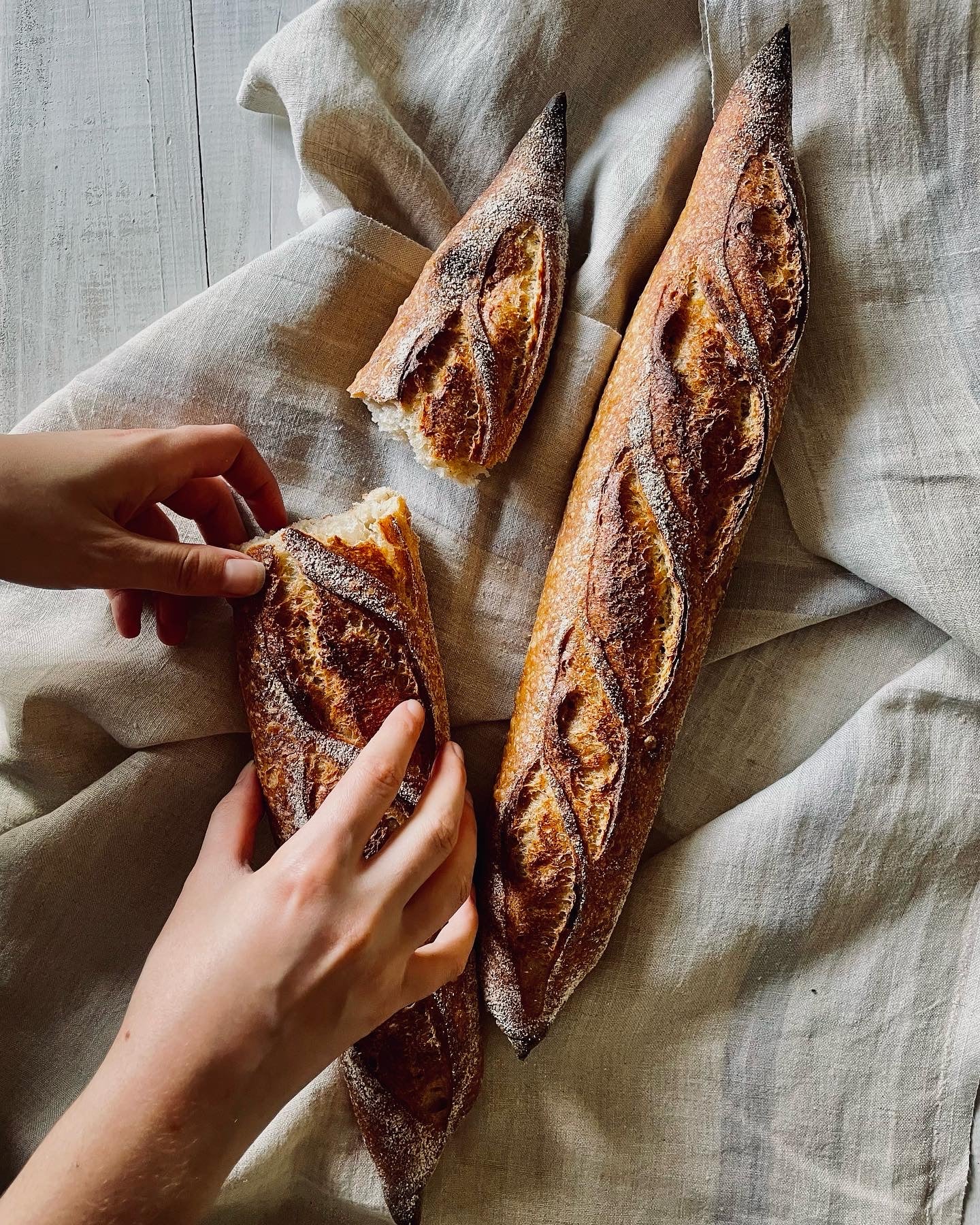Goguette Bread in Santa Rosa, CA (4)