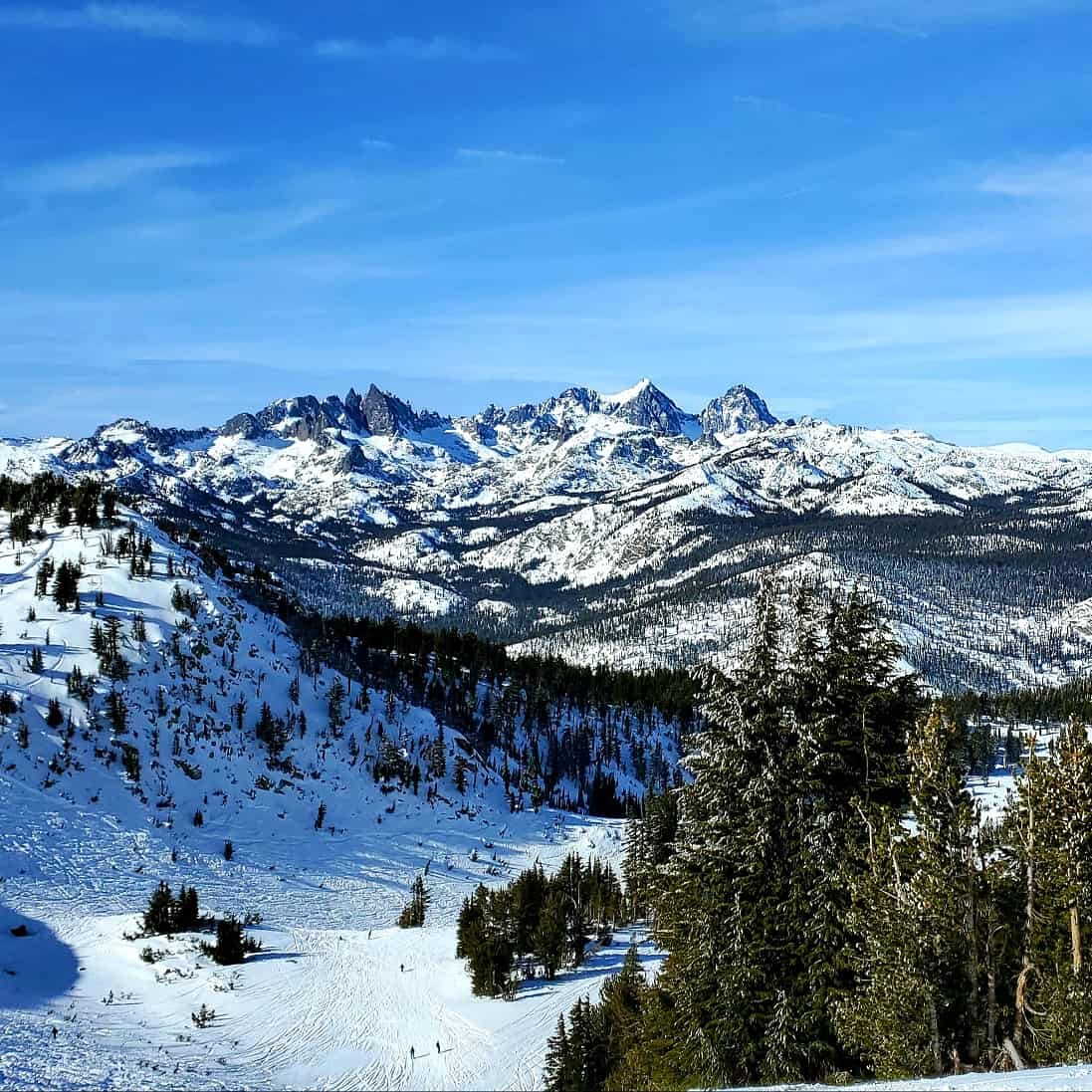 The Law Office of Nicollette Alvarado in Mammoth Lakes, CA (3)