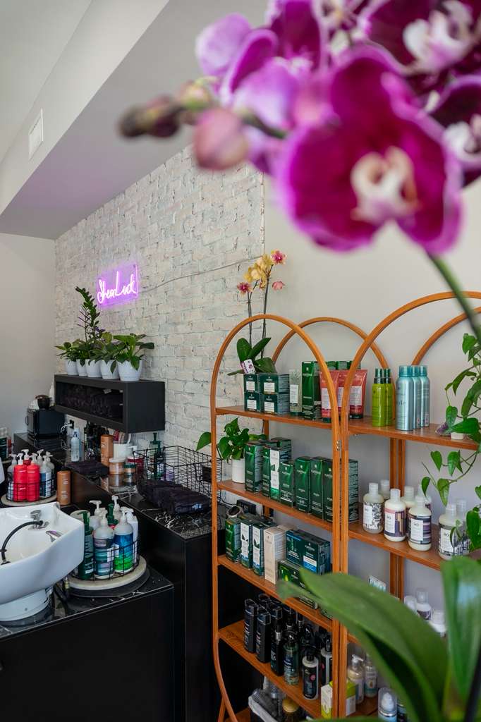ShearLuck Salon in Delray Beach, FL (4)