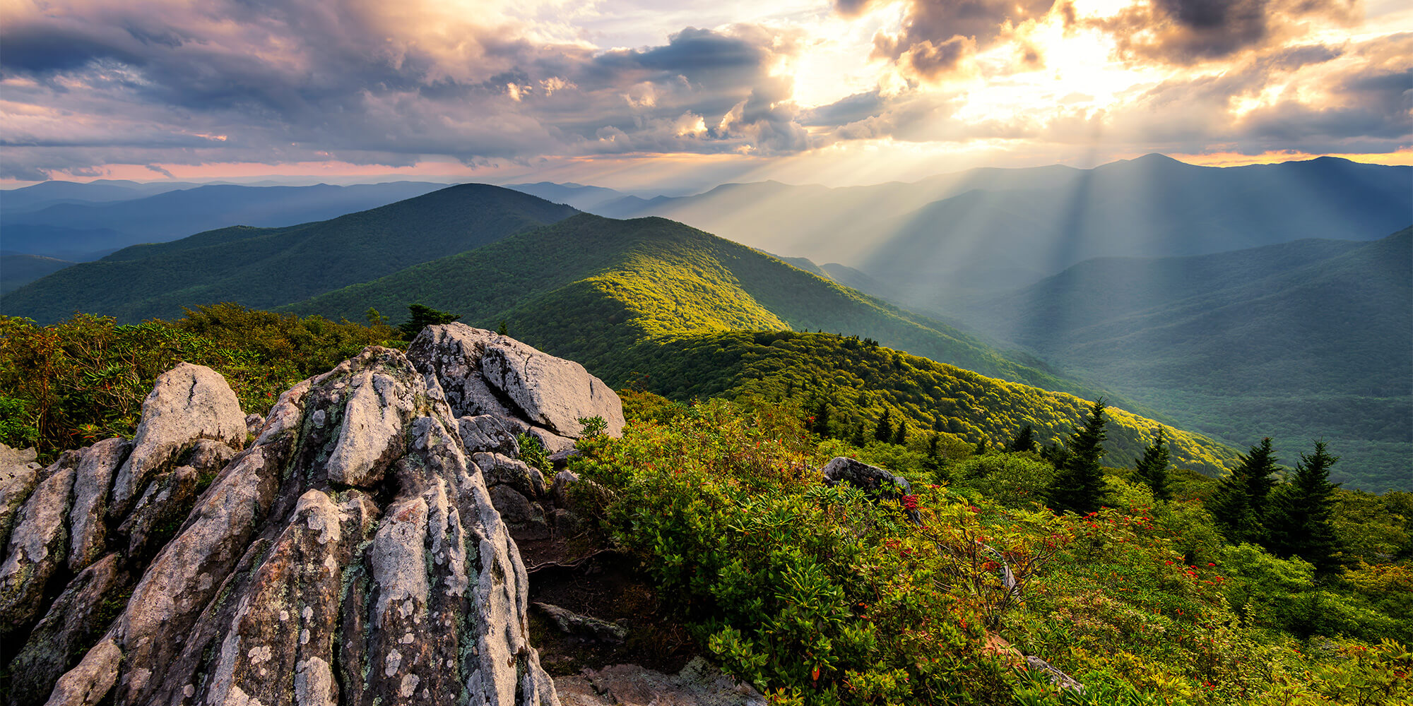 Cielo Real Estate in Rutherfordton, NC