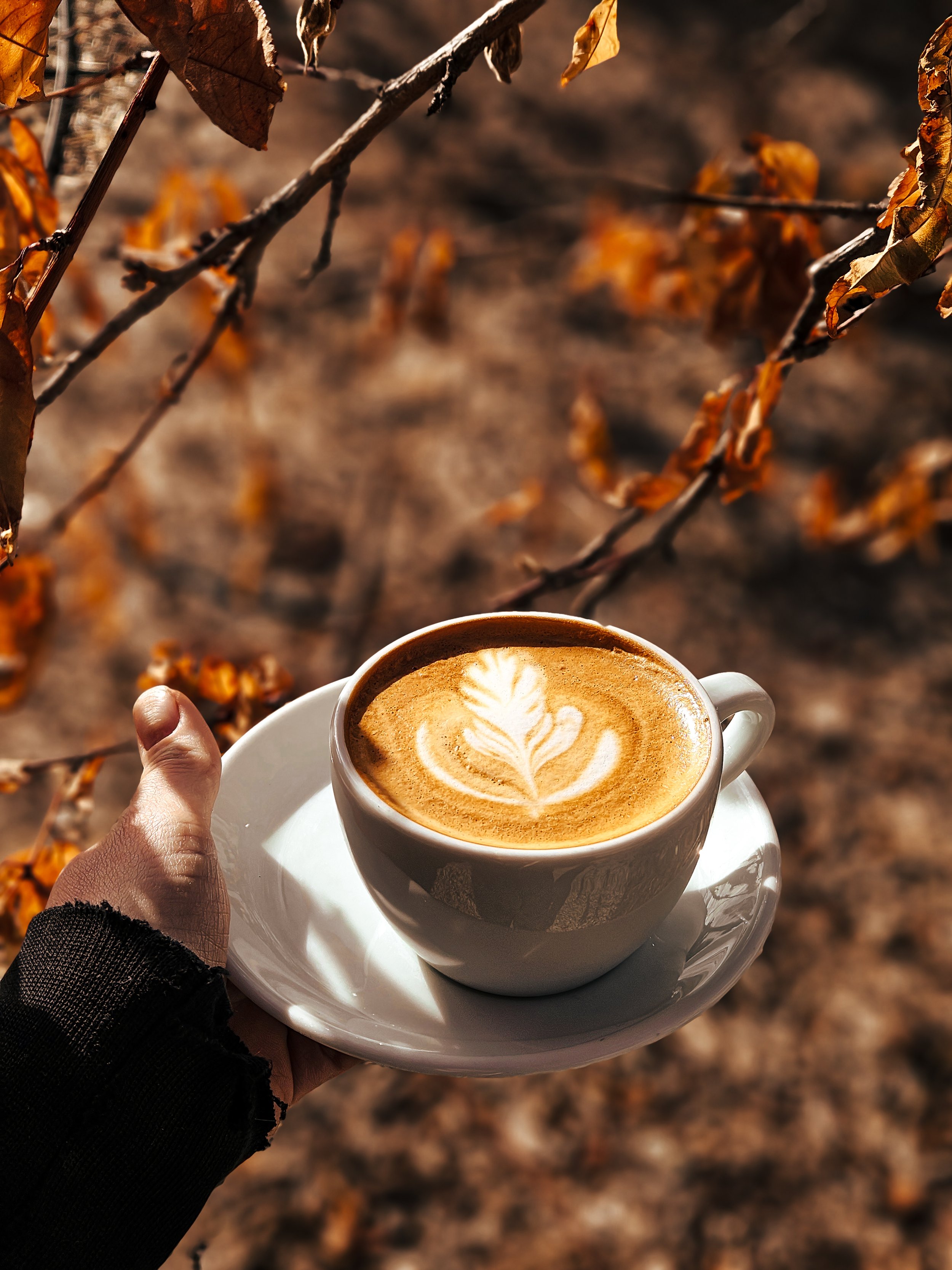 Heritage Coffeehouse on Churn Creek in Redding, CA (3)