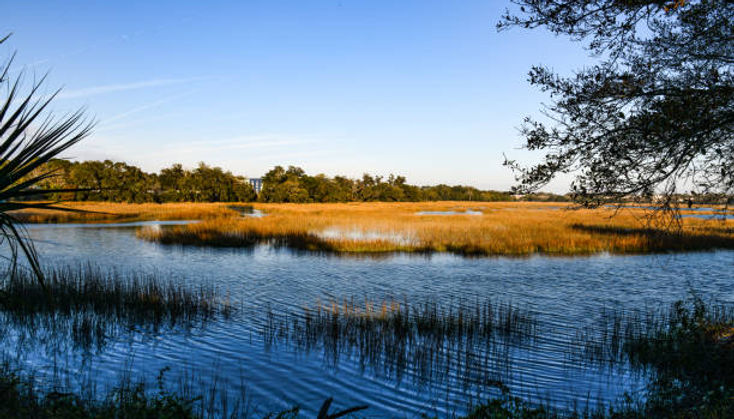 Gullah Geechee Chamber Of Commerce in Georgetown, SC