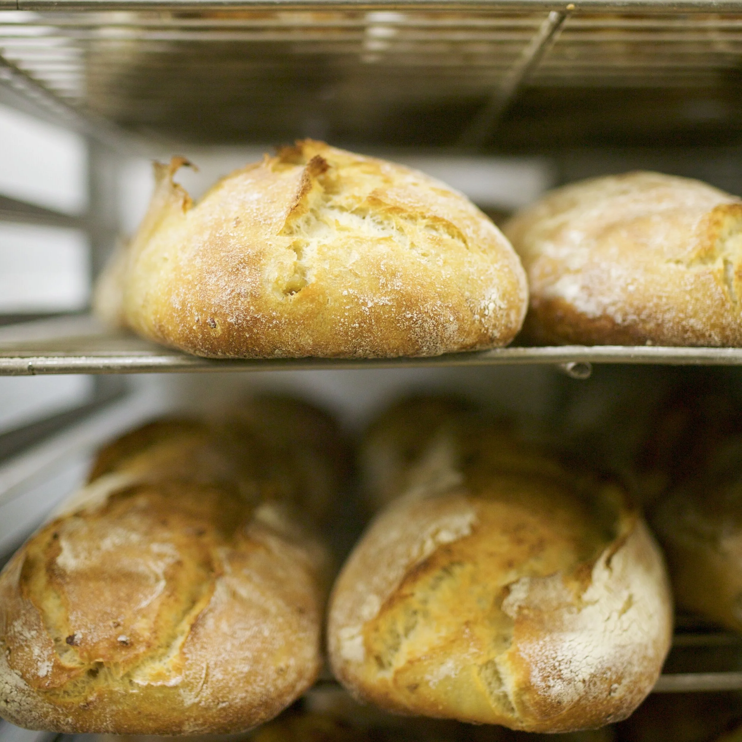 Village Bakery in Santa Rosa, CA