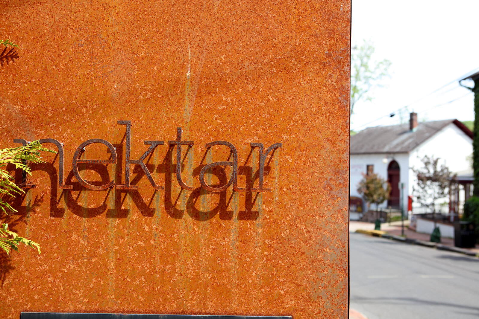 Nektar Wine Bar in New Hope, PA
