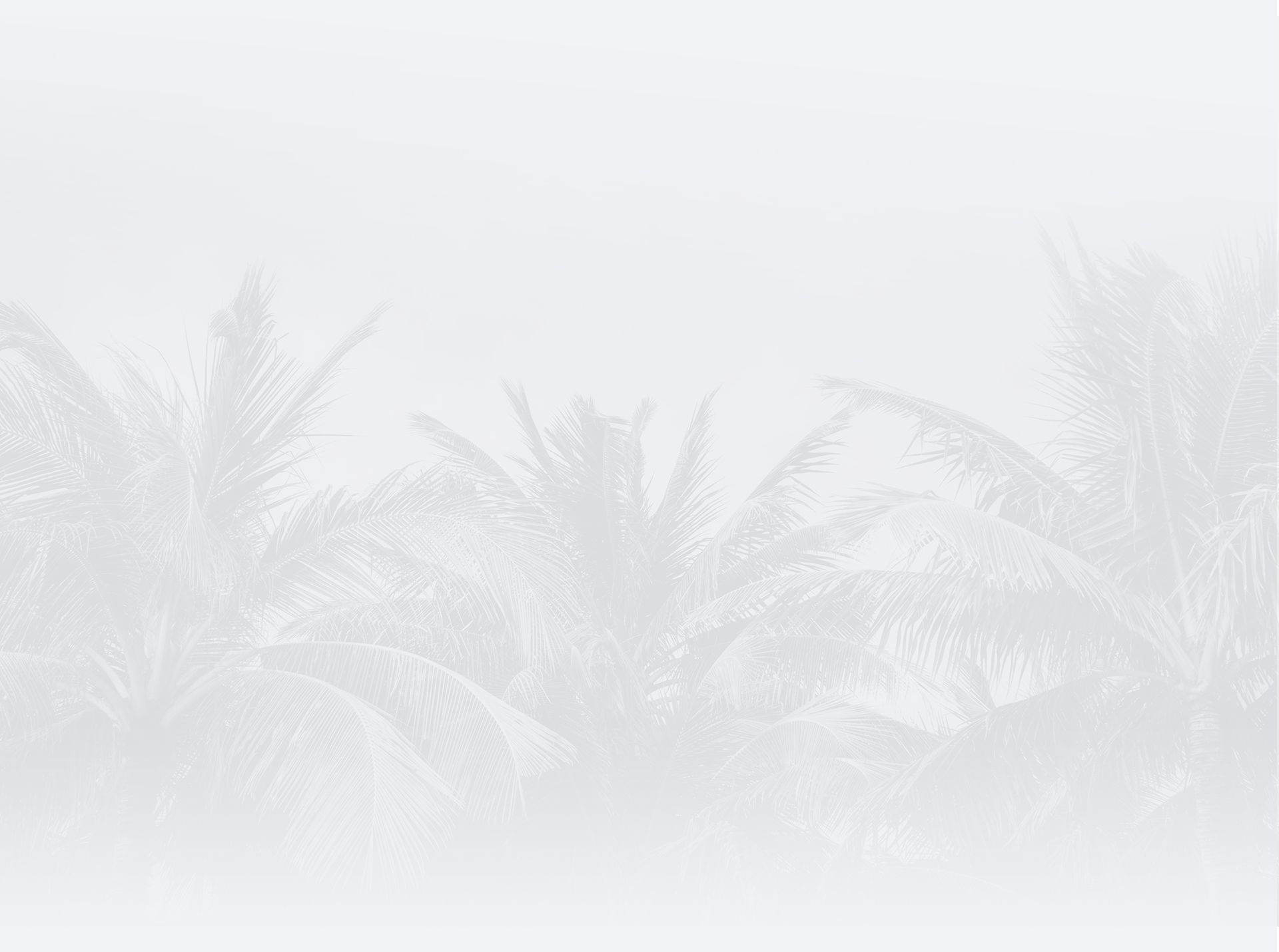 The Law Offices and Mediation Center of Susan M. Edmonson in Galveston, TX (6)