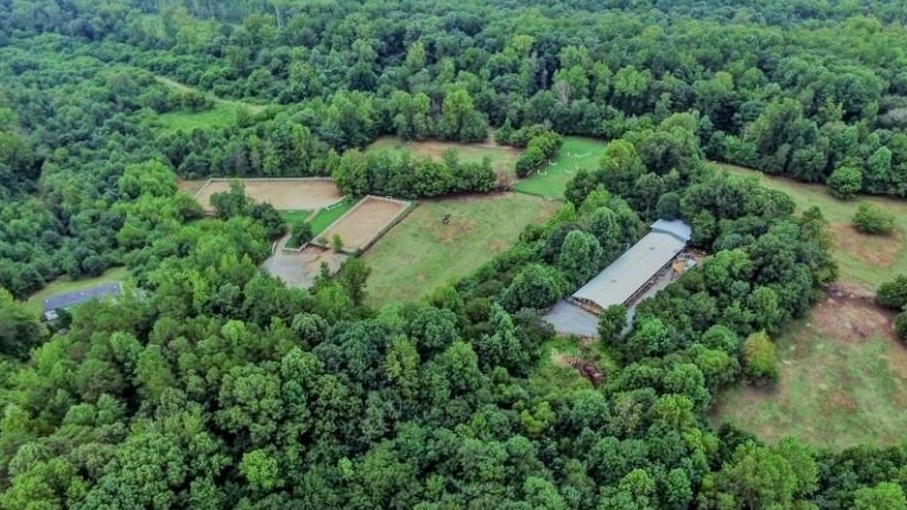 Blackstone Ranch Quarter Horses in Gastonia, NC (2)