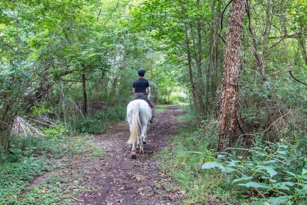 Blackstone Ranch Quarter Horses in Gastonia, NC (4)