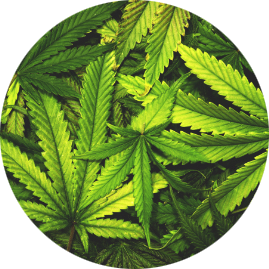 Alabama Criminal Lawyers, LLC in Alabaster, AL (2)