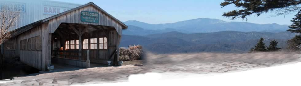 Shenandoah Heritage Market in Harrisonburg, VA (2)