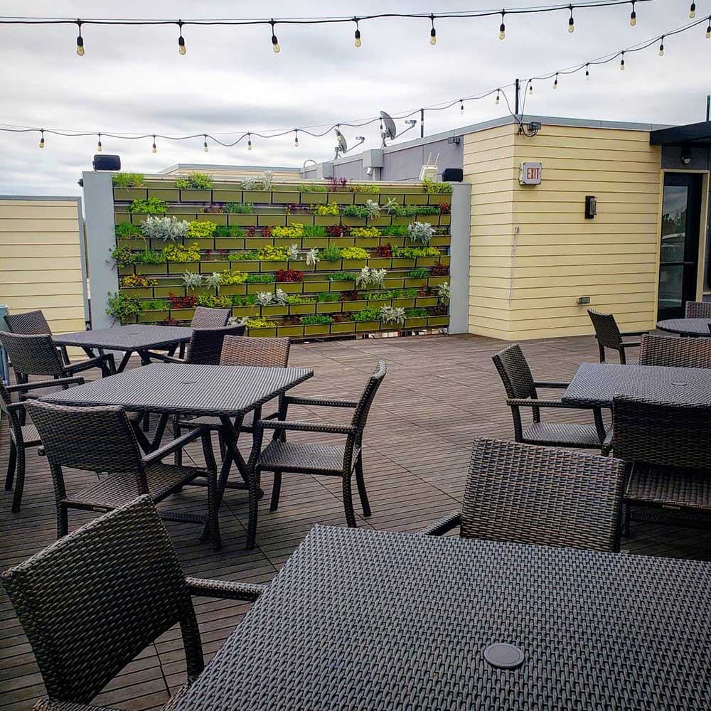 Bridges Craft Pizza & Wine Bar in Greencastle, IN (5)