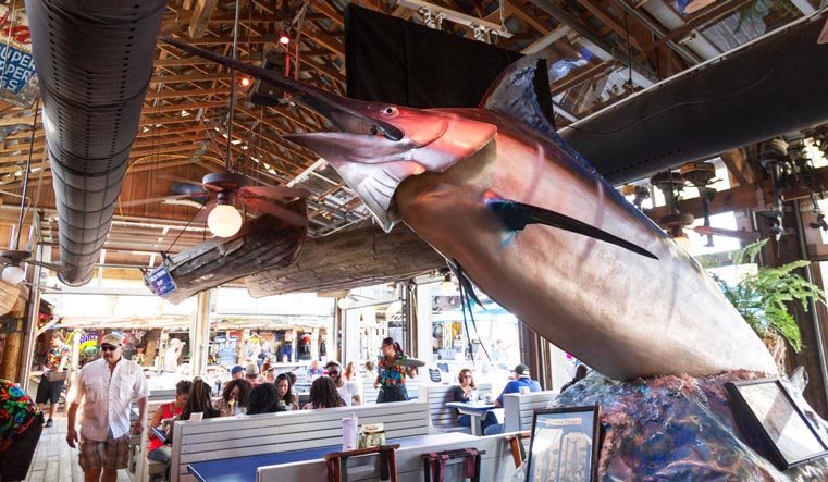 Flounder's Chowder House in Gulf Breeze, FL (6)