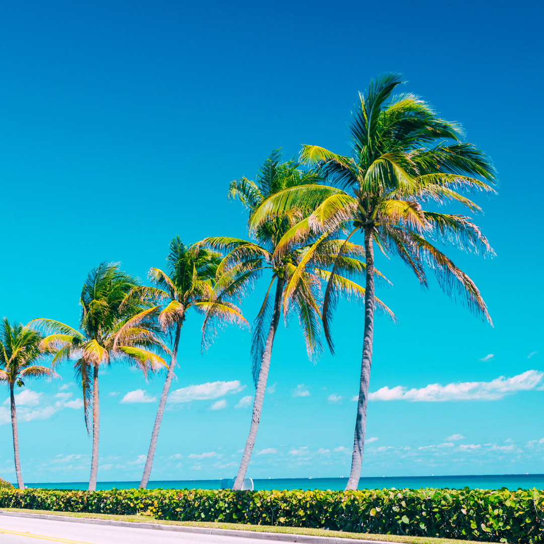 NextHome Advanced Realty in Sunrise, FL (6)